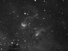 201310-IC410-Tadpoles-Web-240x180x300.jpg