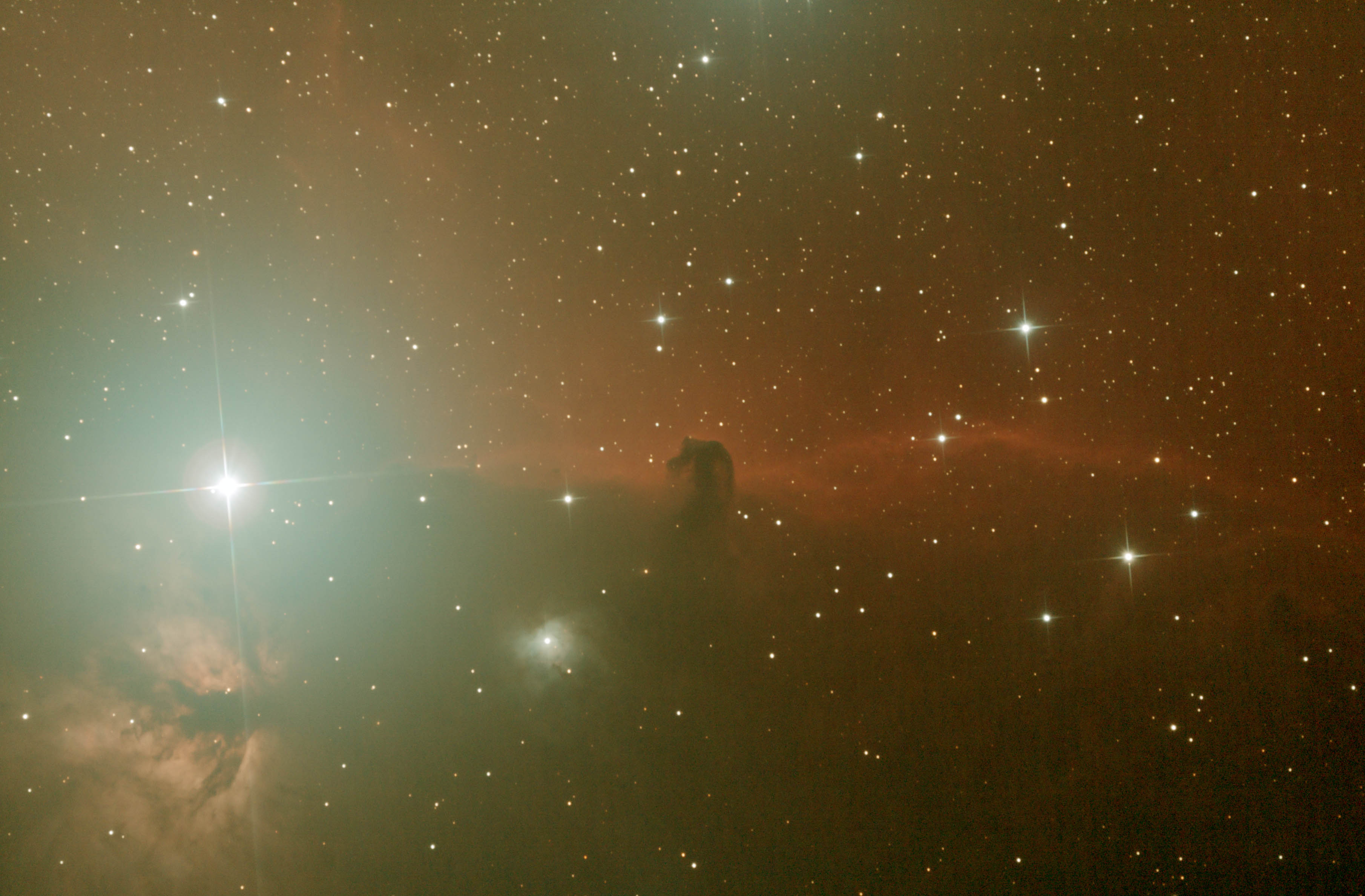 Horsehead - 2.jpg