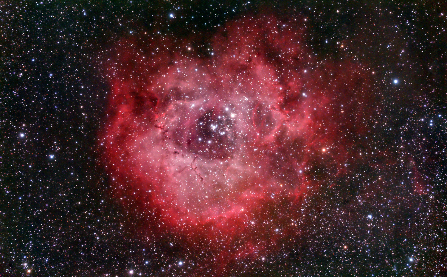 Rosette processed02.jpg