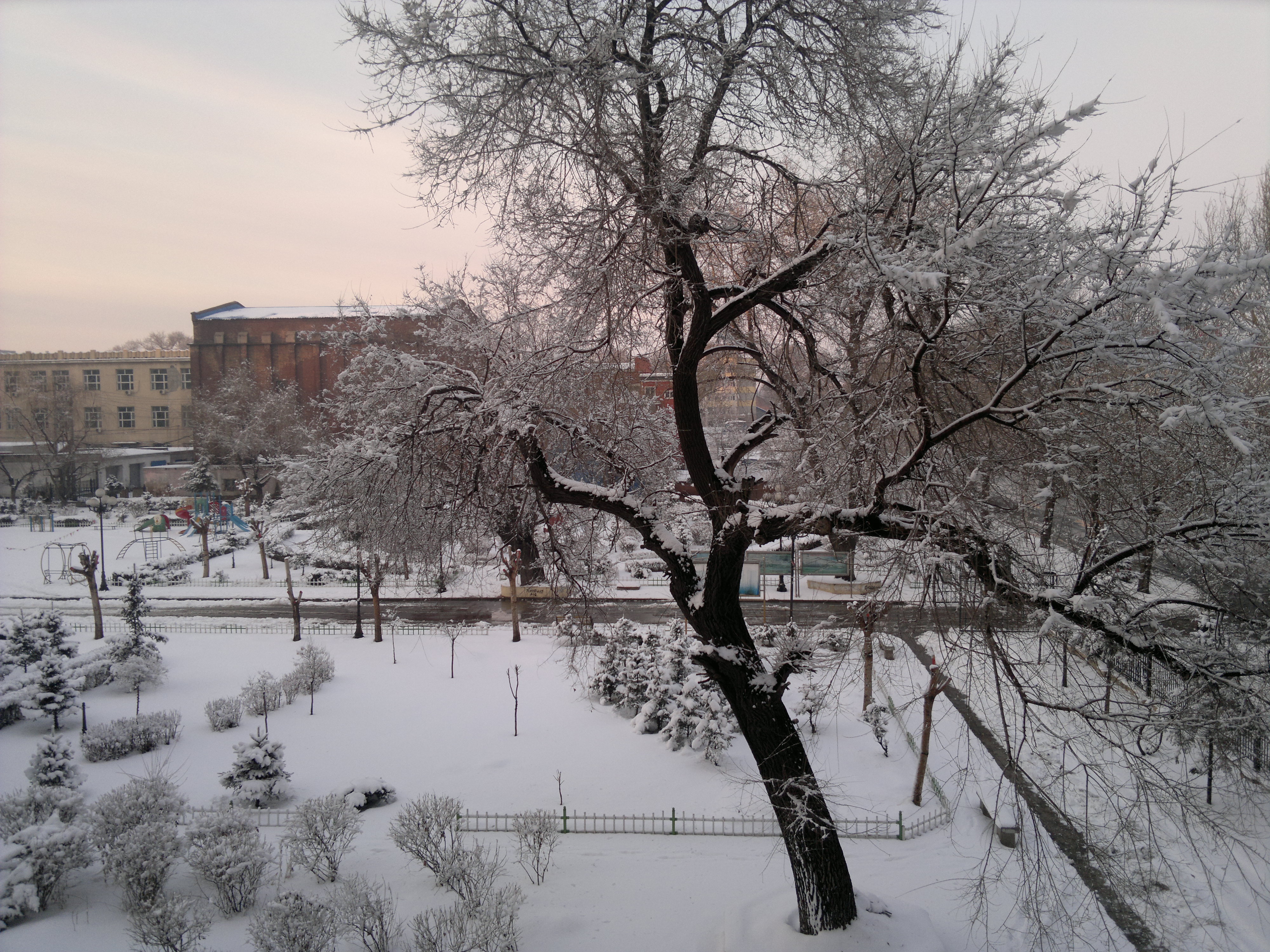 2014-03-19-256.jpg