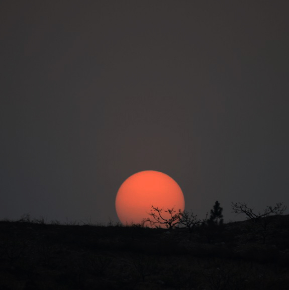DSC_9470_副本.jpg